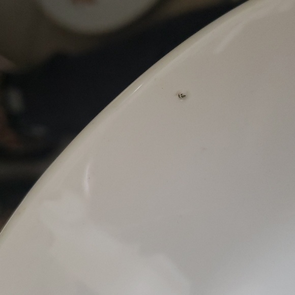 Grape plate - Picture 5 of 5